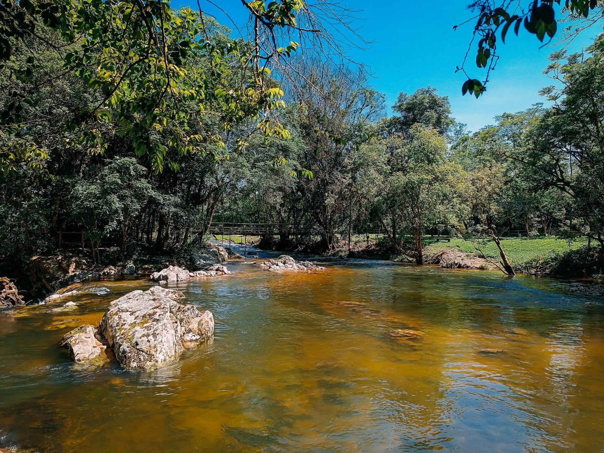 Com Cachoeira No Quintal *