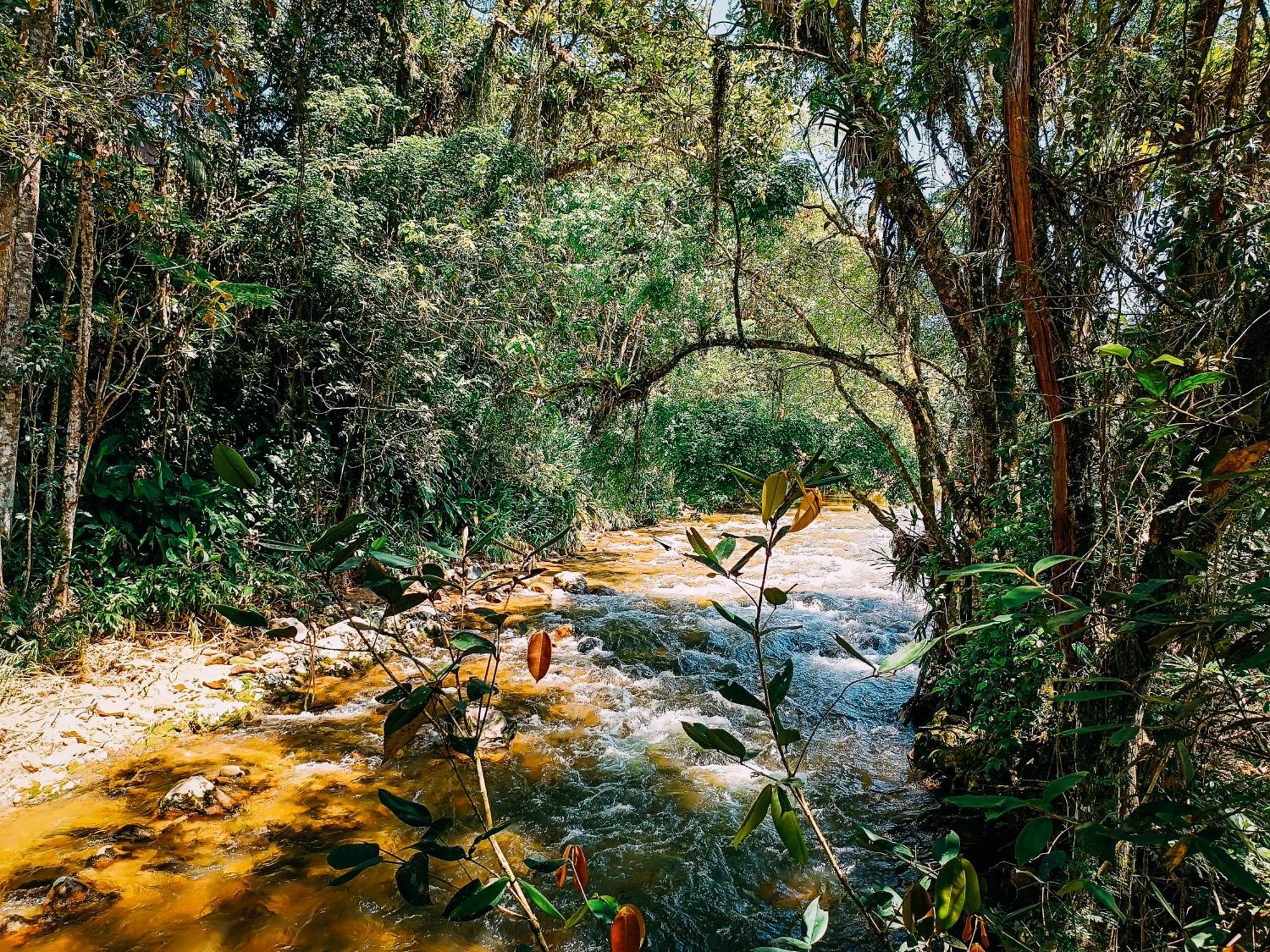 Com Cachoeira No Quintal * Antonio Carlos